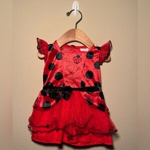 Ladybug 6-12 months infant Halloween costume